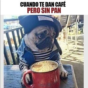 Meet your Posher, Roxana